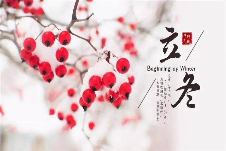 秋走冬又至，立冬啦
